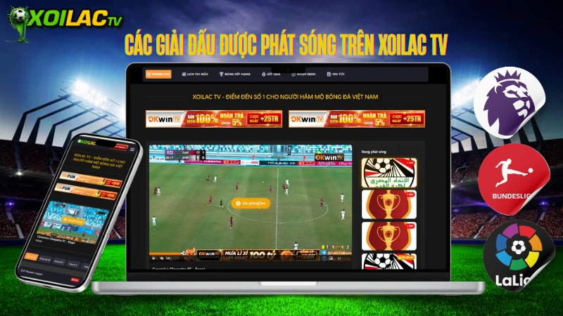 Xoilac TV xem trực tiếp bóng đá hôm nay - giải đấu Cúp châu Âu