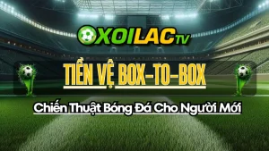 Hình ảnh giải thích vai trò của tiền vệ box-to-box trong chiến thuật bóng đá, có khả năng tham gia cả tấn công và phòng ngự trên khắp mặt sân.
